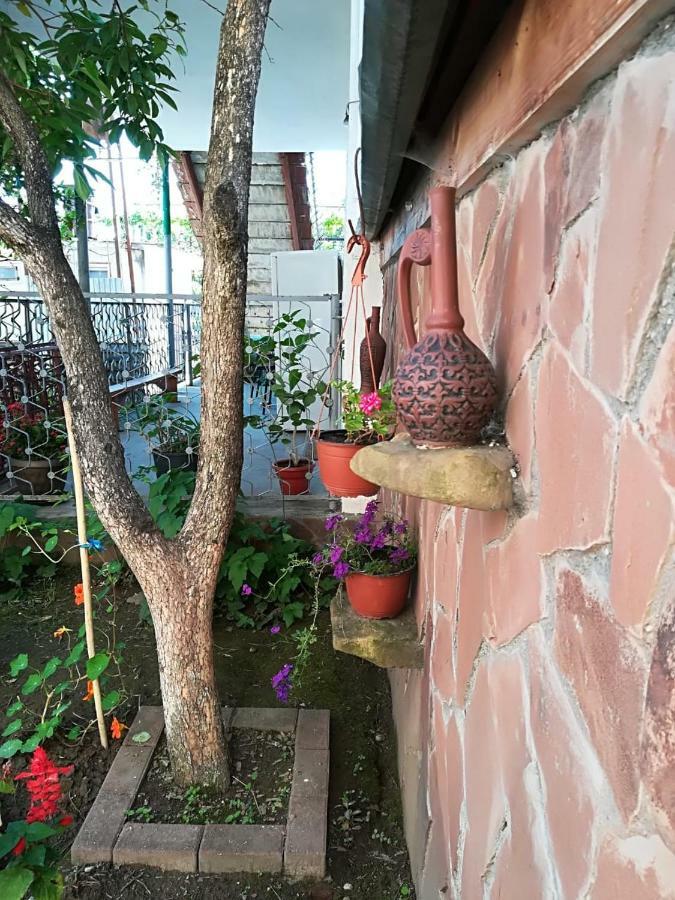 Runo Guest House Gagra Kültér fotó