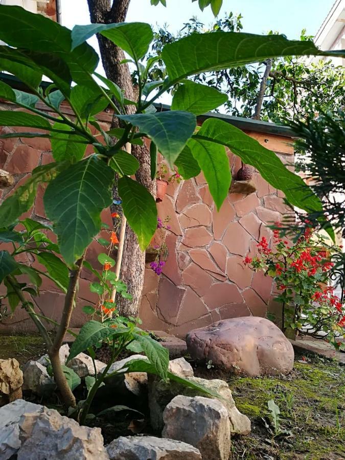 Runo Guest House Gagra Kültér fotó