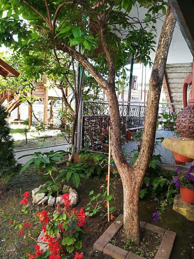 Runo Guest House Gagra Kültér fotó