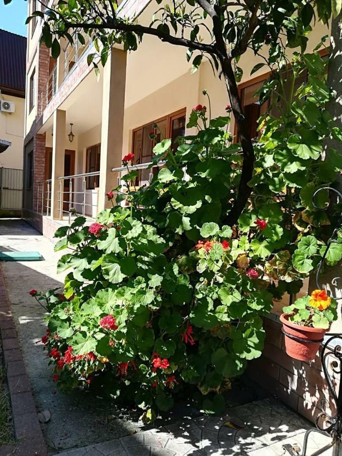 Runo Guest House Gagra Kültér fotó